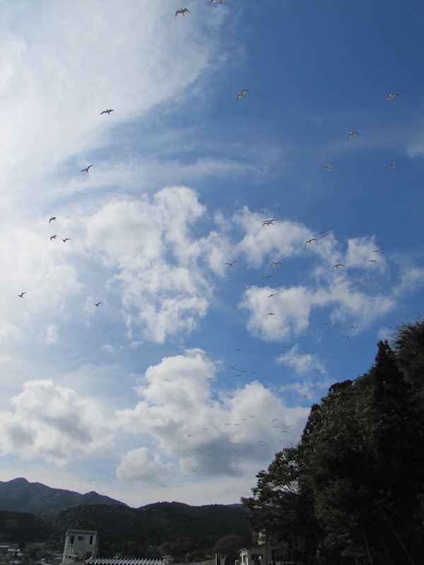 okirai083130