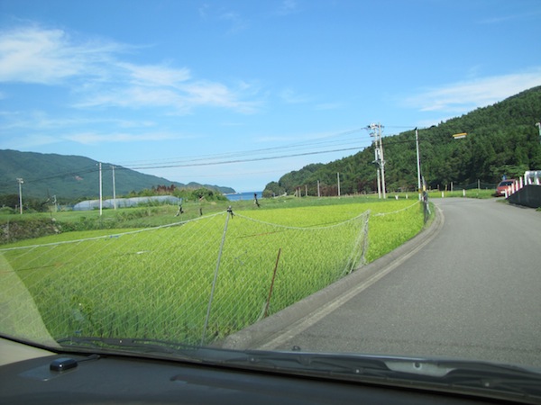 yoshihama090203