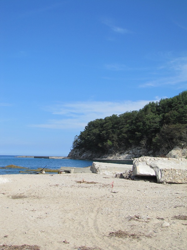 yoshihama090217