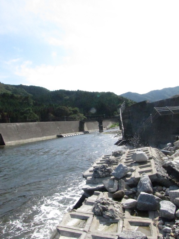 yoshihama090227