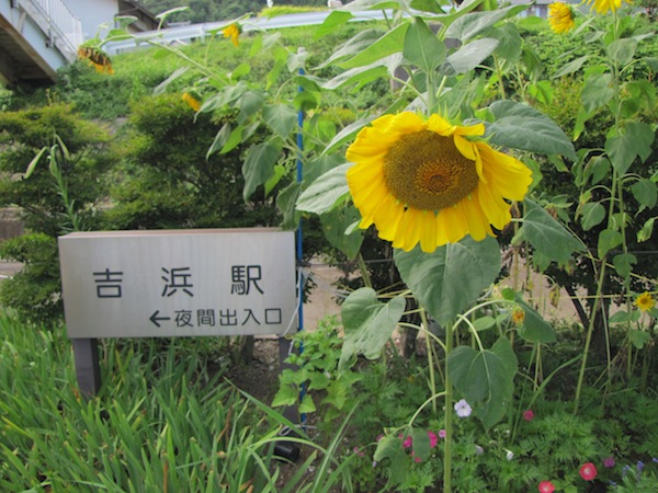 yoshihama090505