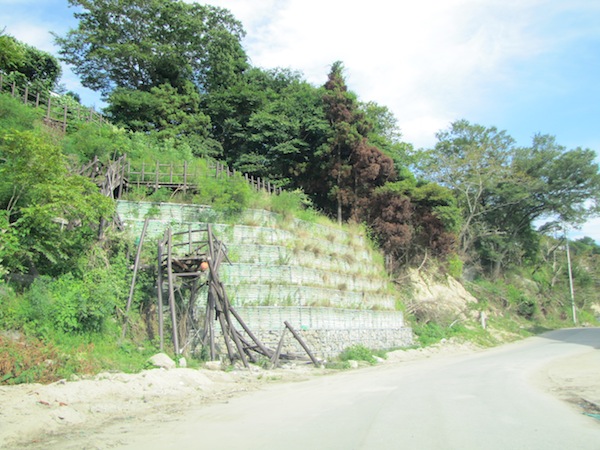 yoshihama090520