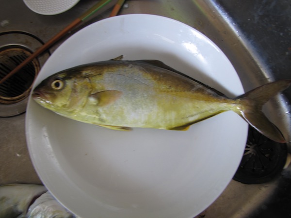 tsuri091101