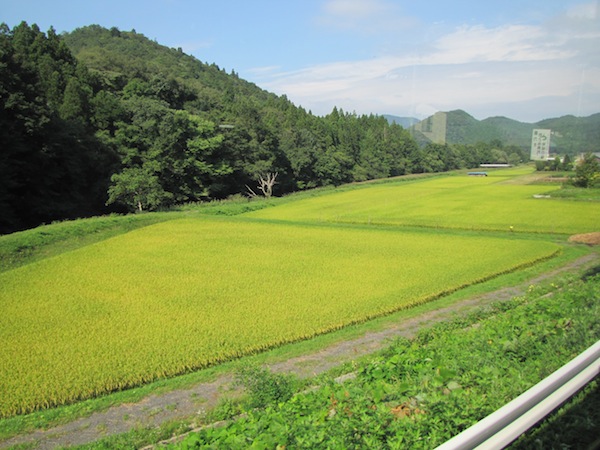 miyamori092202