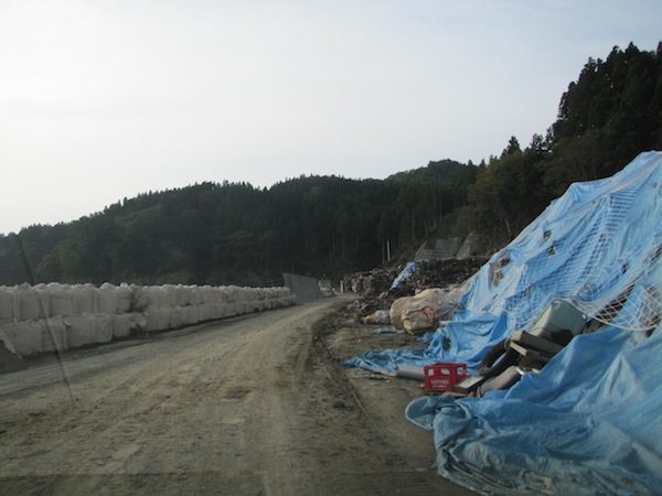 ryourishirahama101307