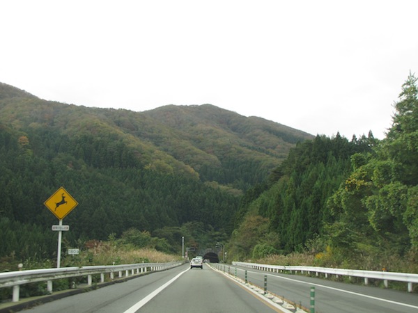 natsumushiyama102609