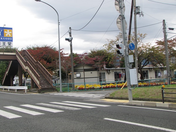 natsumushi02606