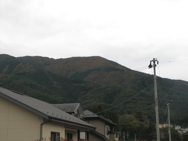 natsumushi02608