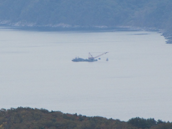 natsumushi02644