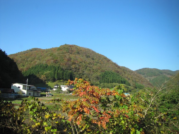 kouyou110201