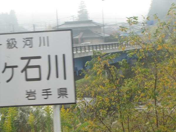 kouyou110211