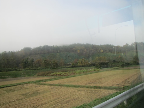 kouyou110212