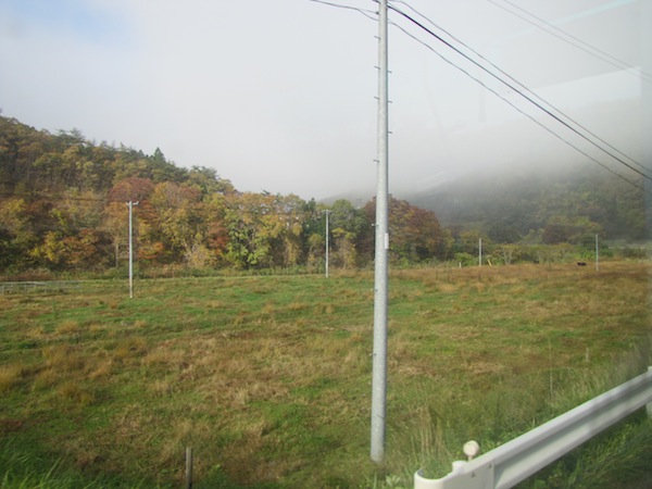 kouyou110213