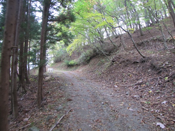koubesaki110404