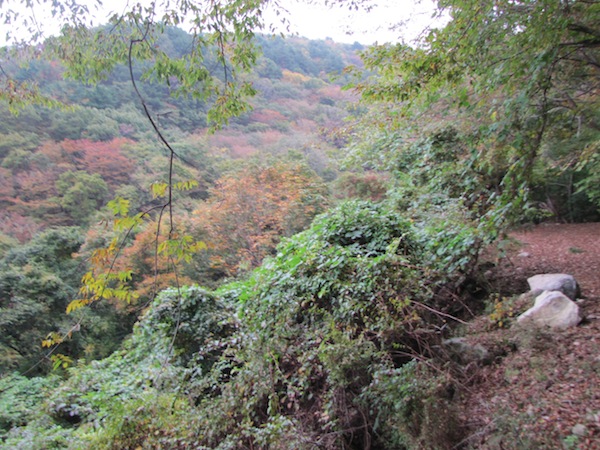 koubesaki110405