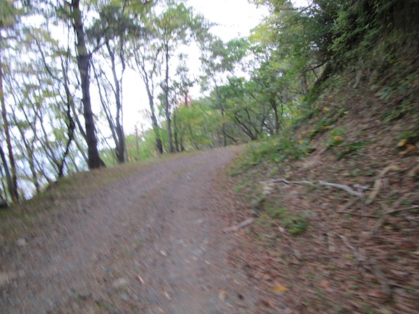 koubesaki110406
