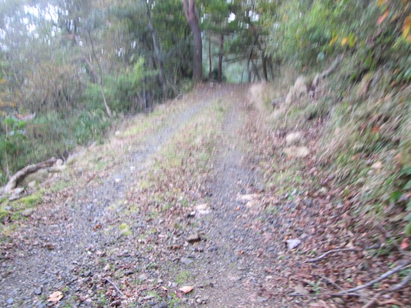 koubesaki110408