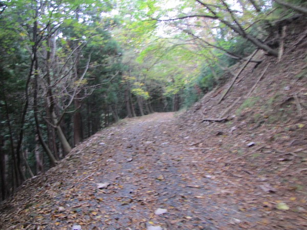 koubesaki110409