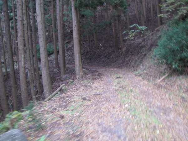 koubesaki110418