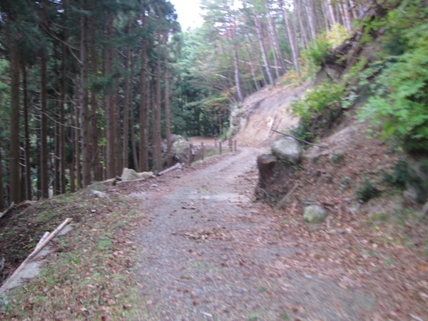 koubesaki110424