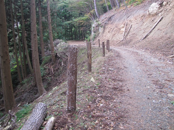 koubesaki110425