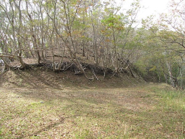 koubesaki110433