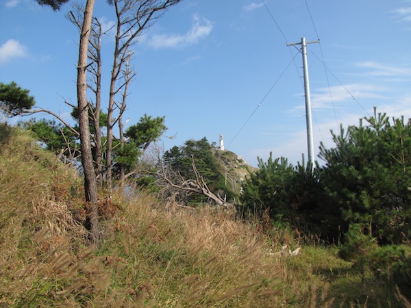 koubesaki110436
