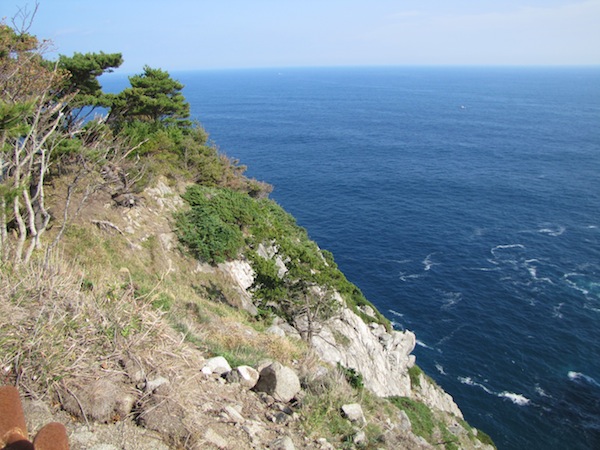 koubesaki110447
