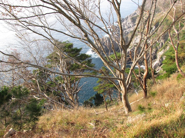kobesaki110713