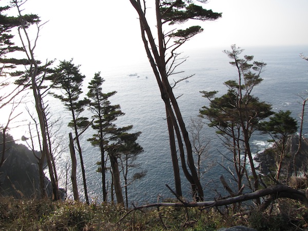 kobesaki110714
