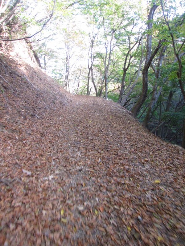 kobesaki110723