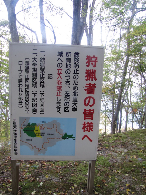 kobesaki110725