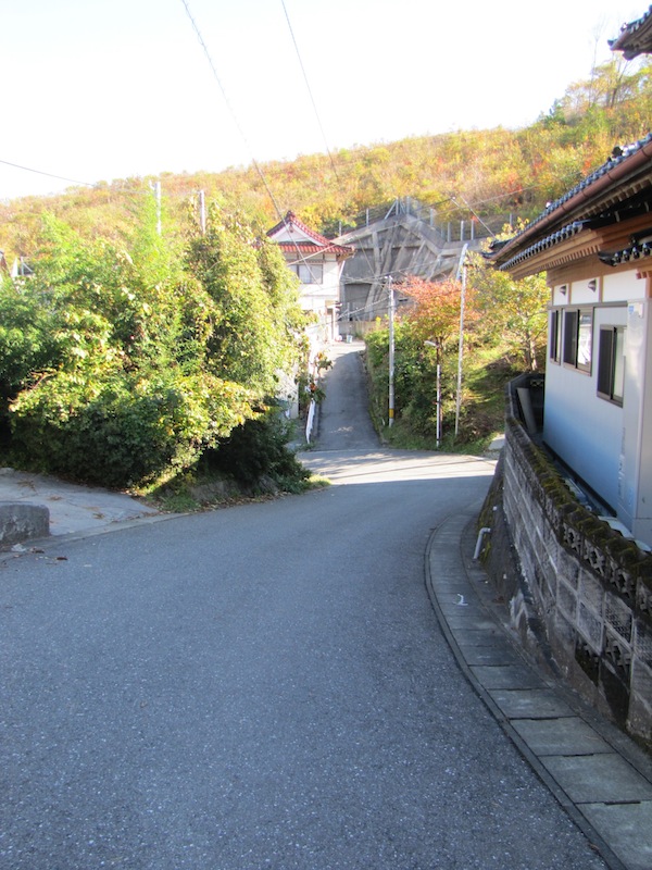 ryouri110909