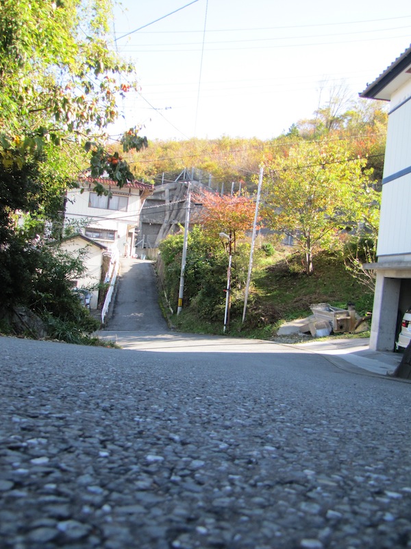 ryouri110910