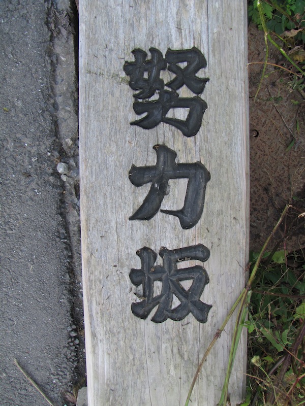 ryouri1109103