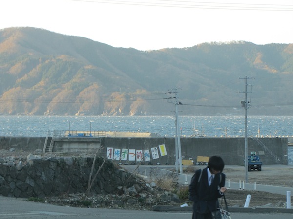 natsumushi111601