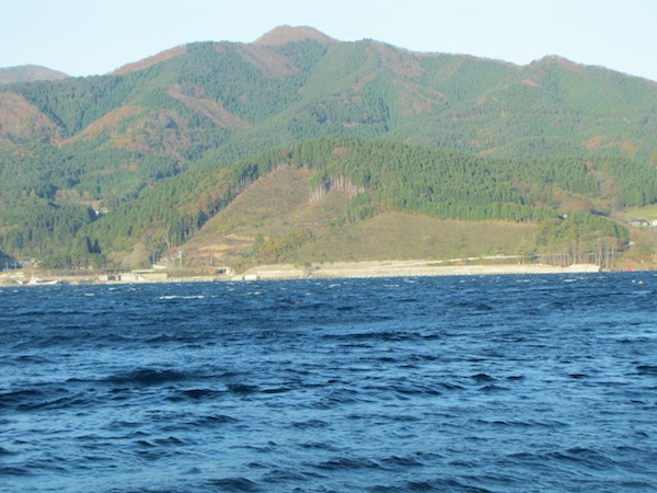 natsumushi111611
