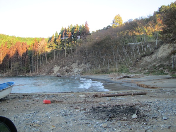 natsumushi111613