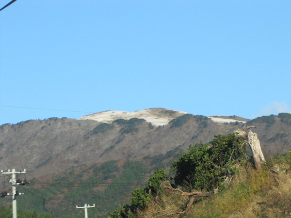 natsumushi111619