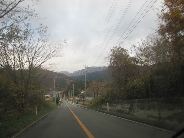 natsumushi112201