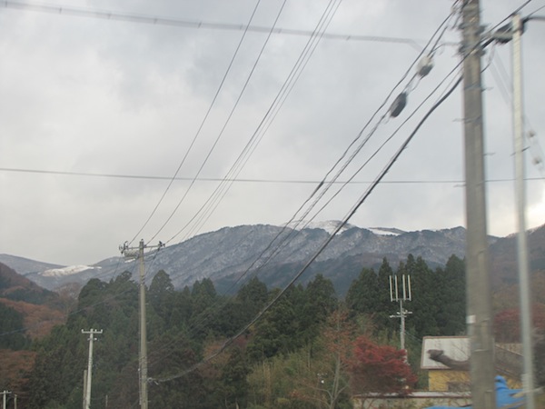 natsumushi112203