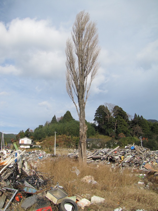 urahama112626