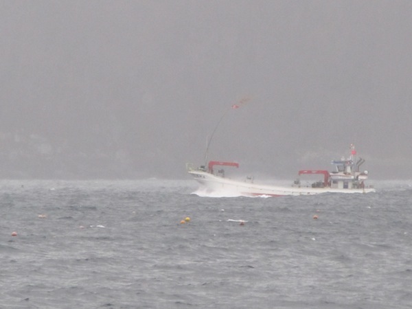 sakihama120309