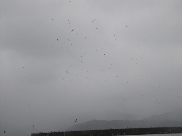 sakihama1203018