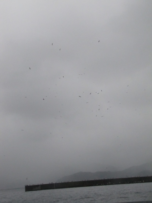 sakihama120319