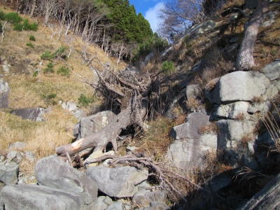 sakihama121012
