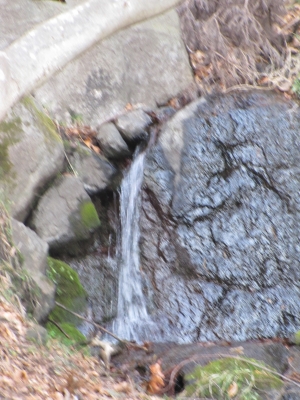sakihama121018