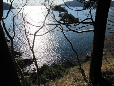 sakihama121020