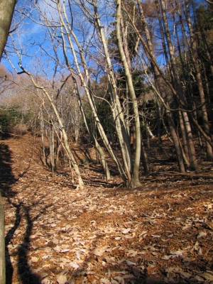 sakihama121021