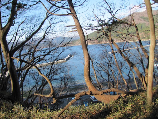 sakihama121217